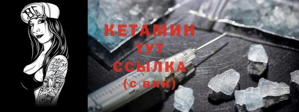 гидра Абаза