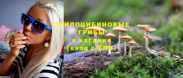 твердый Абинск