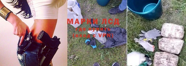 гидра Абаза