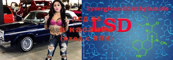 гидра Абаза