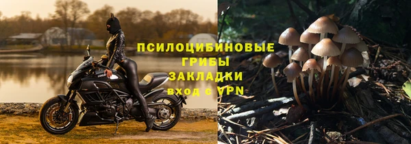 гидра Абаза
