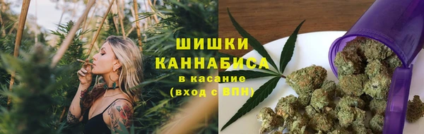 гидра Абаза